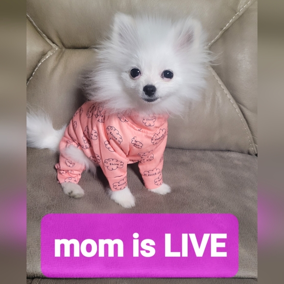 ReneeResellRack is LIVE@6 pm central💥$5 Unlisted NWT & preloved Women XS-3X - Picture 5 of 16